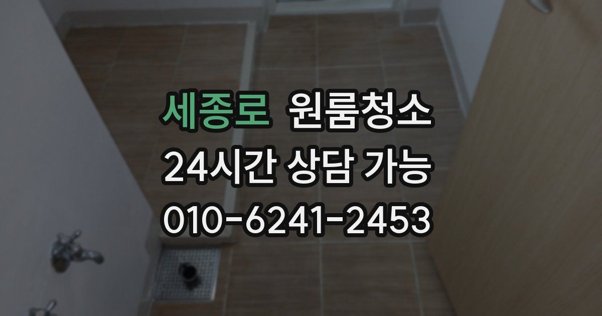 세종로 입주청소