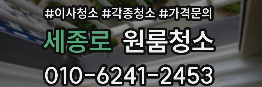 세종로 이사청소