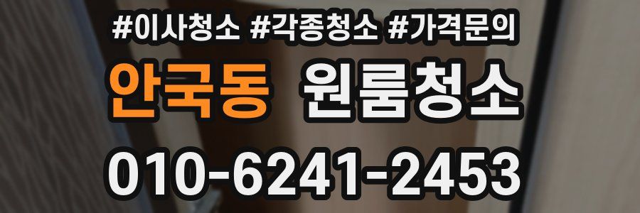 안국동 이사청소