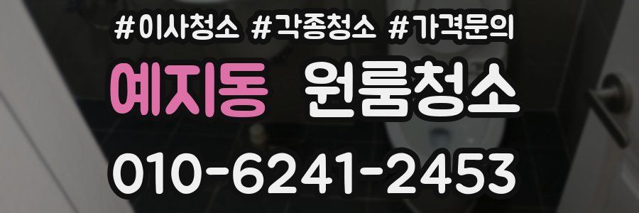 예지동 이사청소