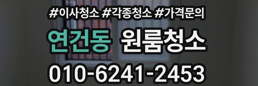 연건동 이사청소