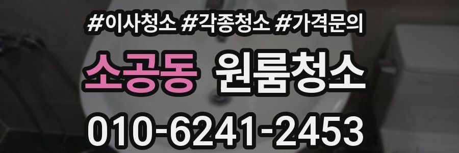 소공동 이사청소