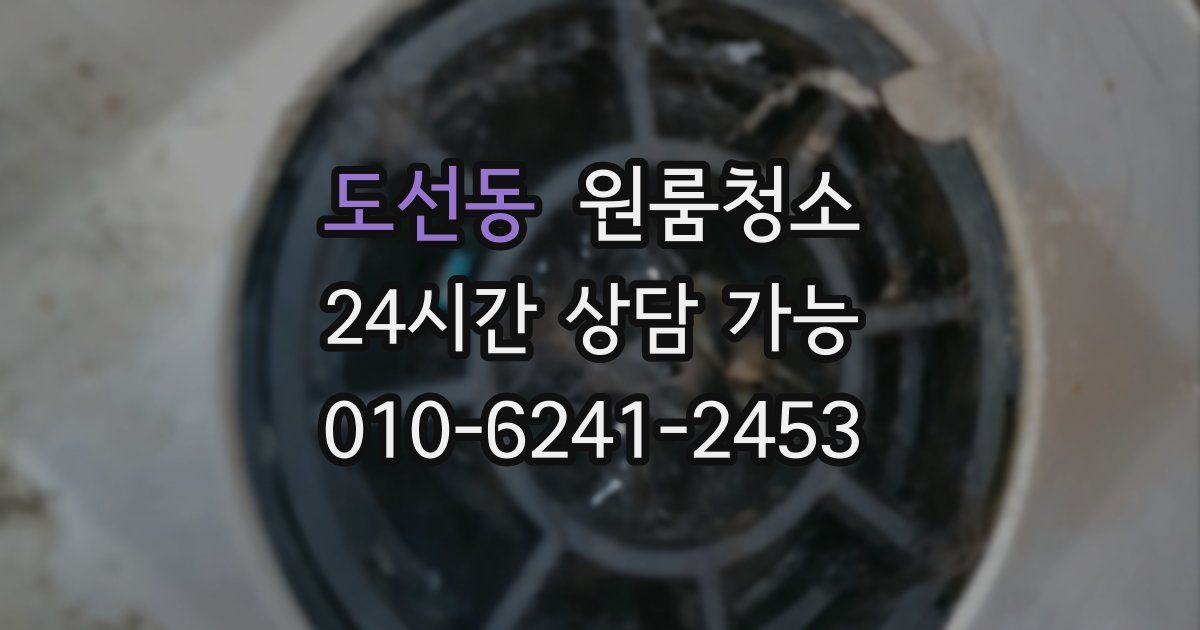 도선동 입주청소