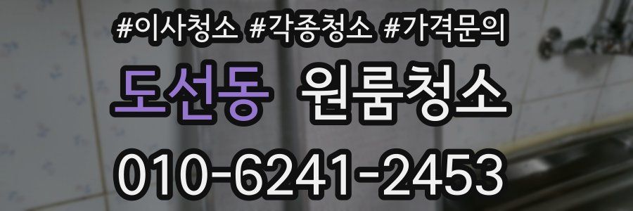 도선동 이사청소