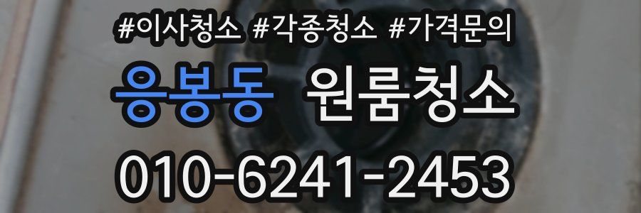 응봉동 이사청소