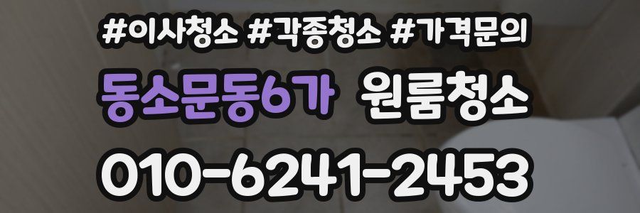 동소문동6가 이사청소