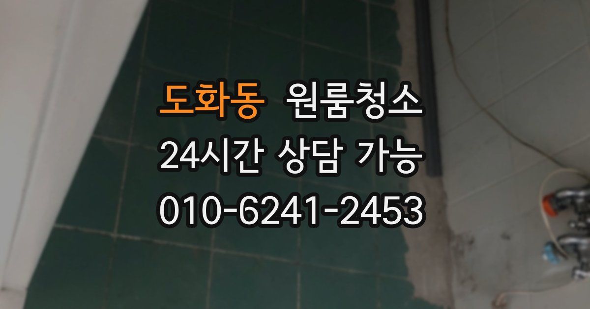 도화동 입주청소