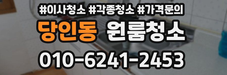 당인동 이사청소