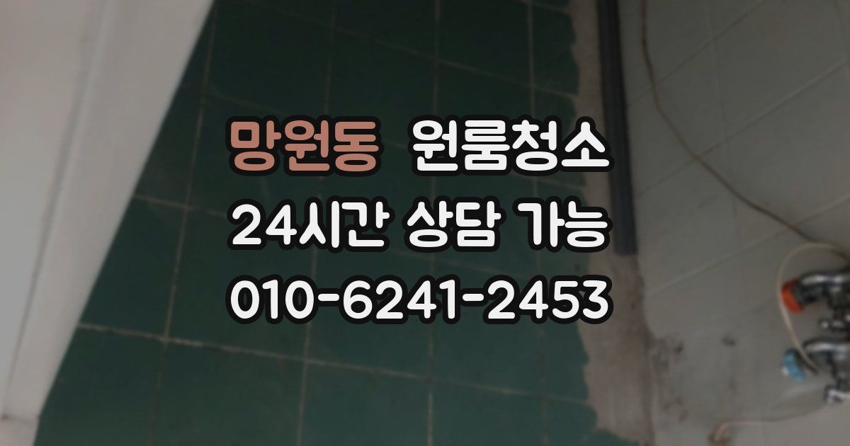 망원동 입주청소