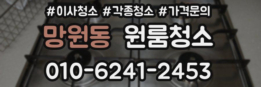 망원동 이사청소