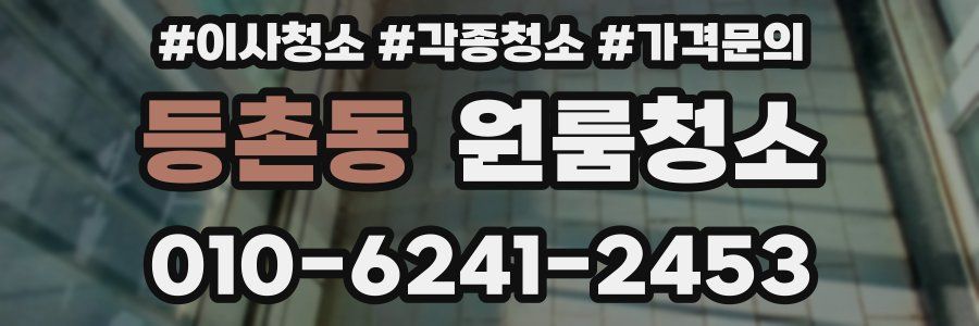 등촌동 이사청소