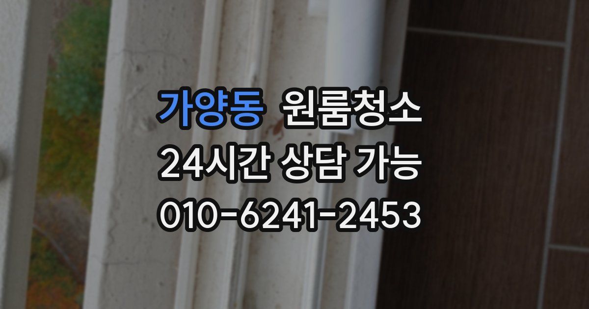 가양동 입주청소