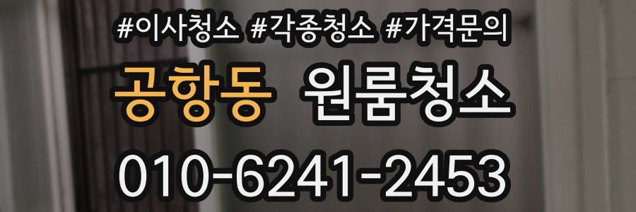 공항동 이사청소