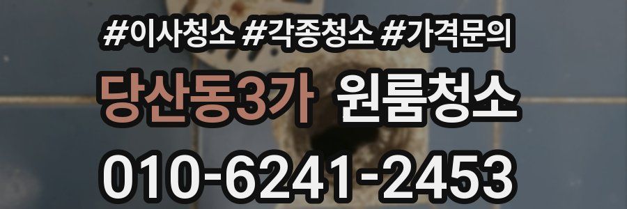 당산동3가 이사청소