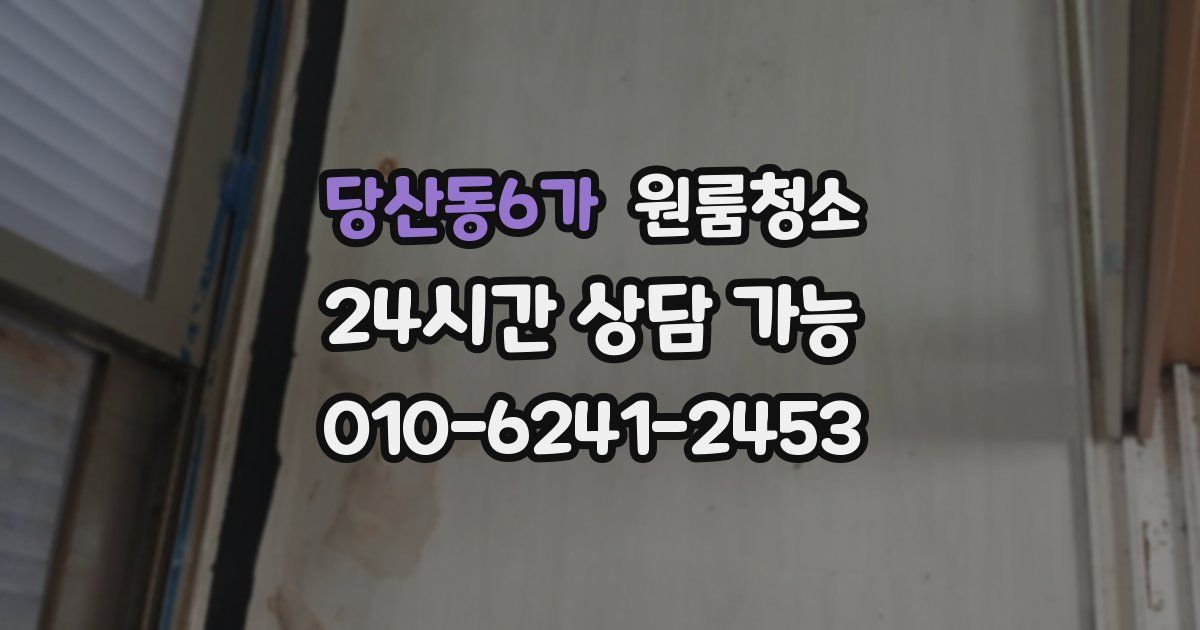 당산동6가 입주청소