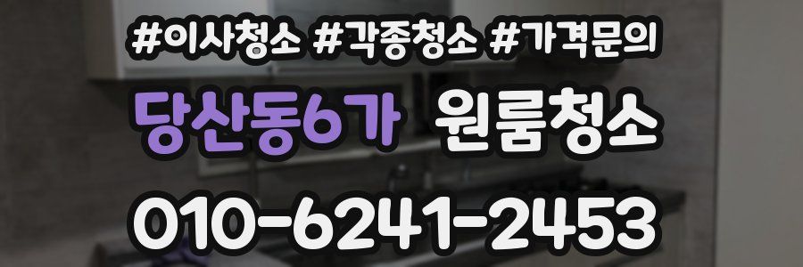 당산동6가 이사청소