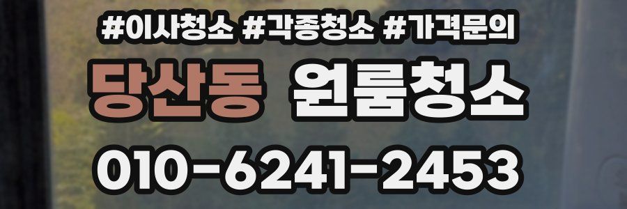 당산동 이사청소