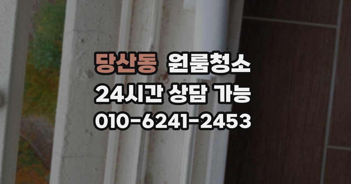 당산동 입주청소