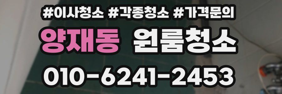 양재동 이사청소