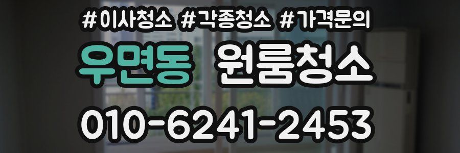 우면동 이사청소