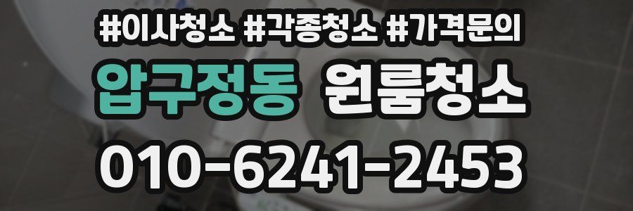 압구정동 이사청소