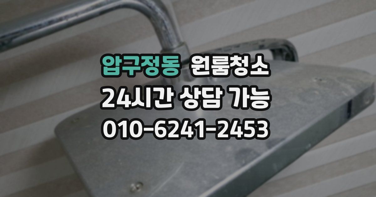 압구정동 입주청소