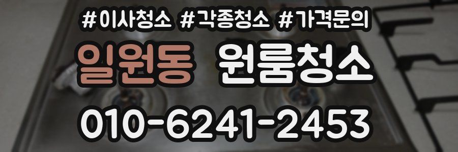 일원동 이사청소