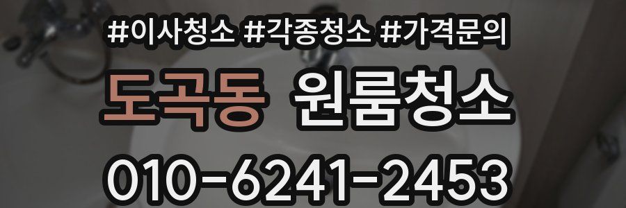 도곡동 이사청소