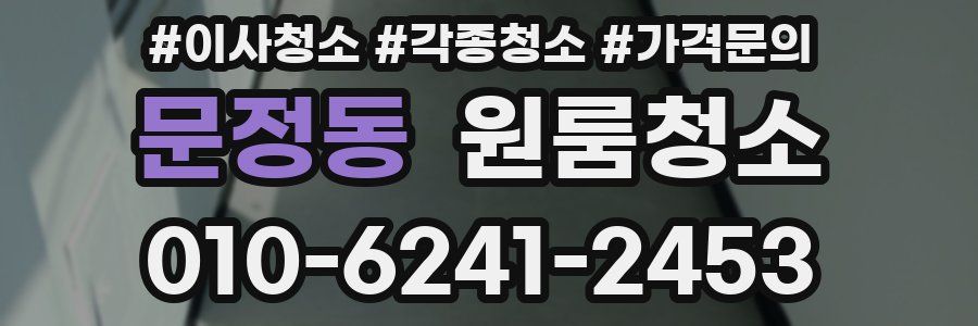 문정동 이사청소