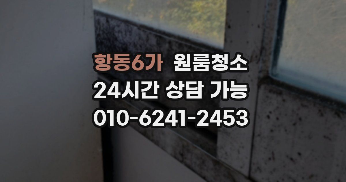 항동6가 입주청소