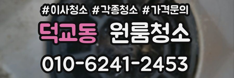 덕교동 이사청소