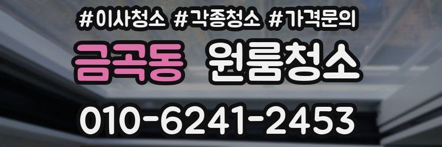 금곡동 이사청소