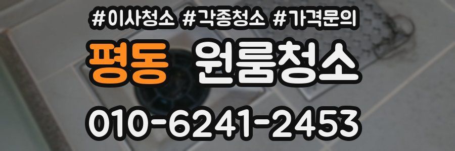 평동 이사청소