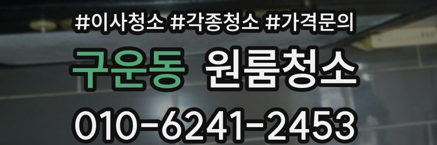 구운동 이사청소