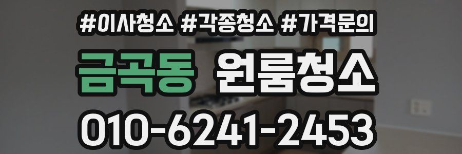 금곡동 이사청소