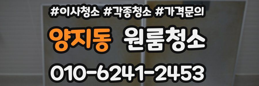 양지동 이사청소