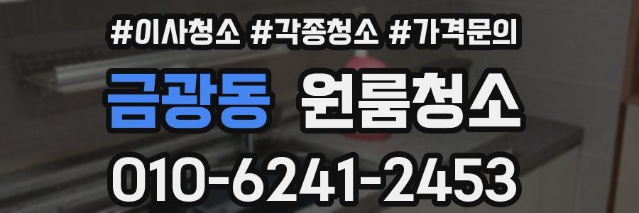 금광동 이사청소