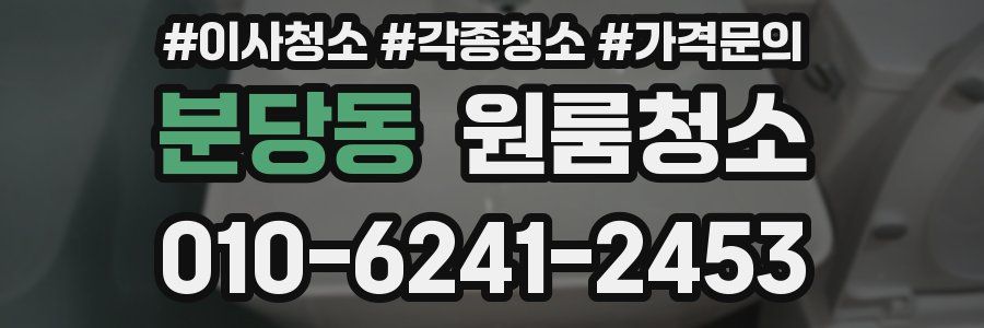 분당동 이사청소
