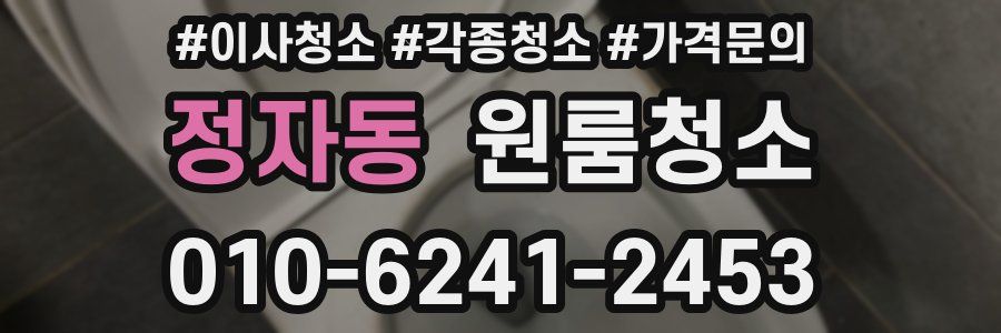 정자동 이사청소