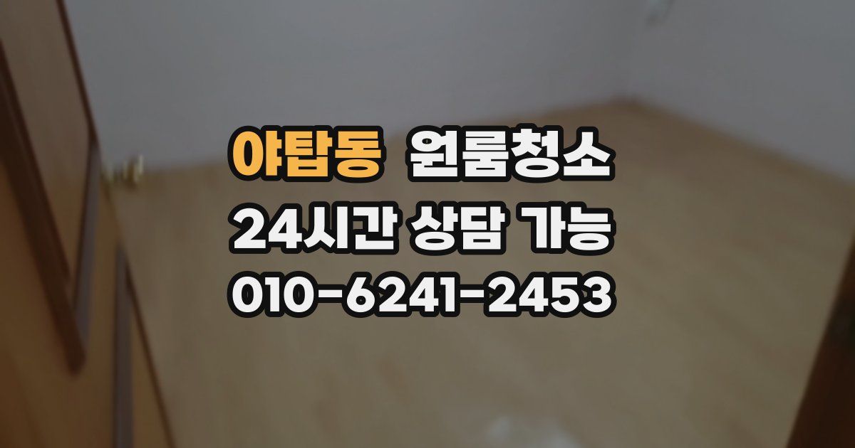 야탑동 입주청소