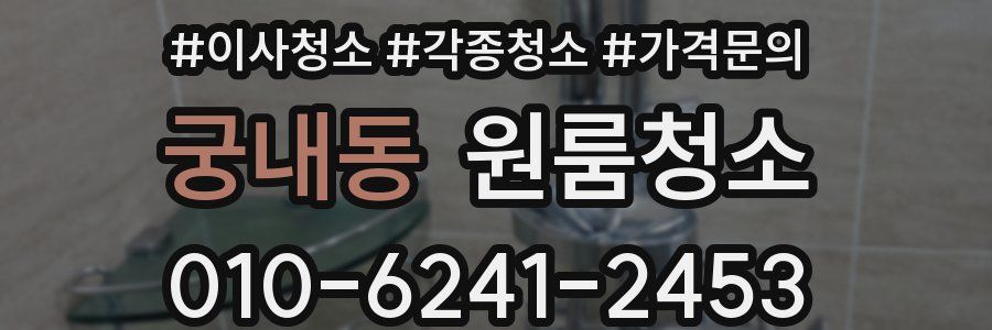 궁내동 이사청소