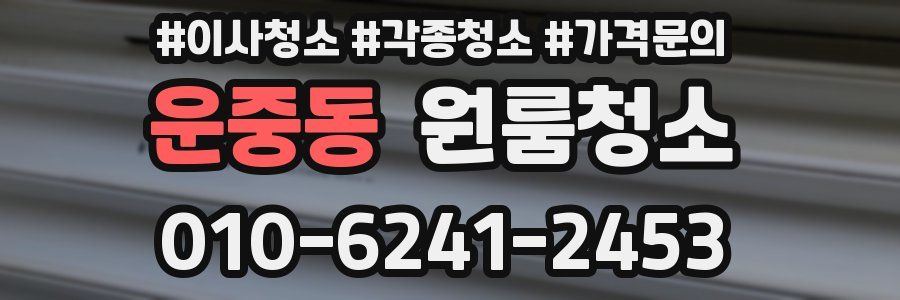 운중동 이사청소