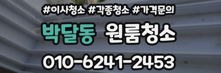 박달동 이사청소