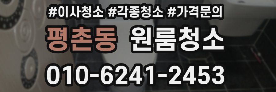 평촌동 이사청소