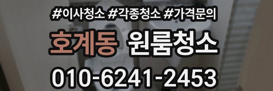 호계동 이사청소