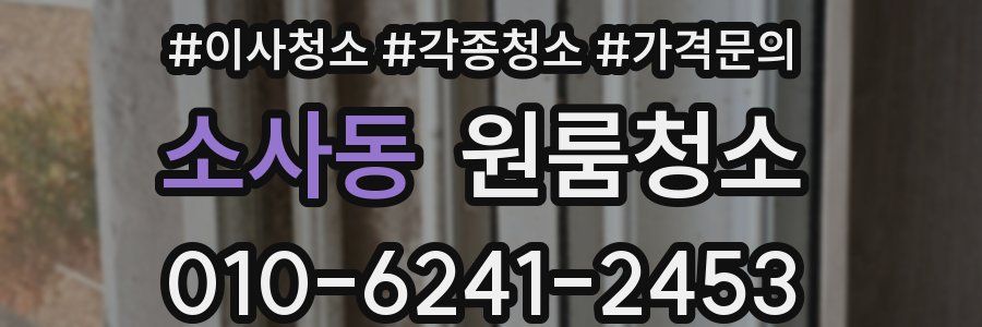 소사동 이사청소