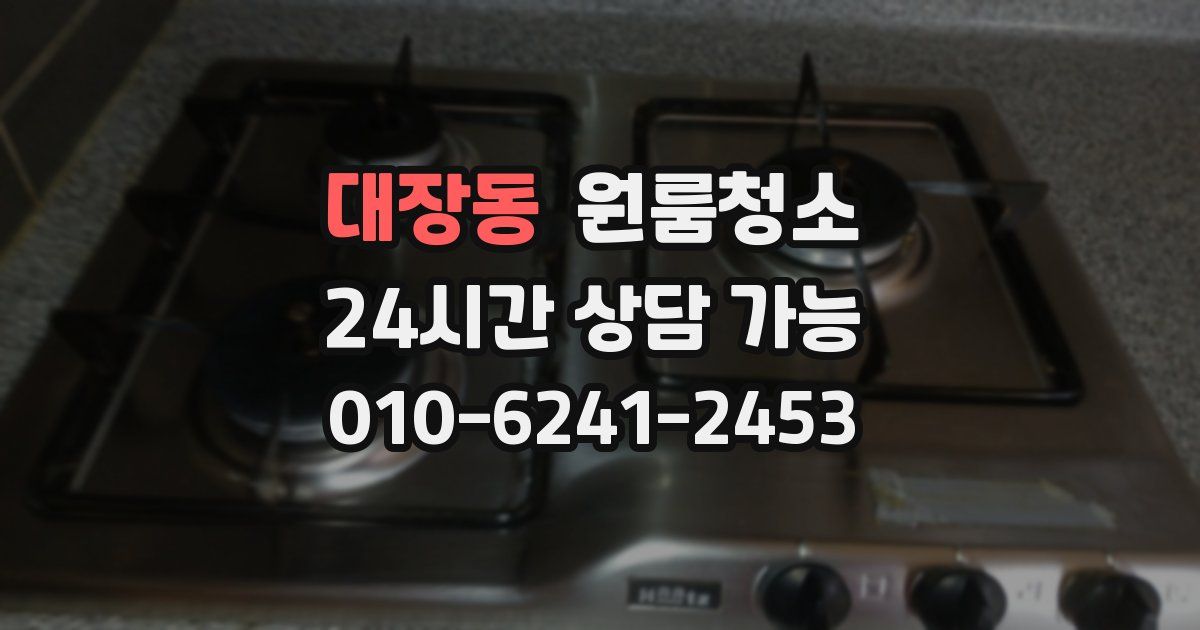 대장동 입주청소
