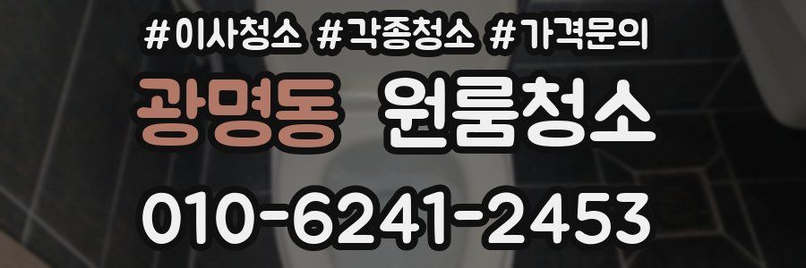 광명동 이사청소