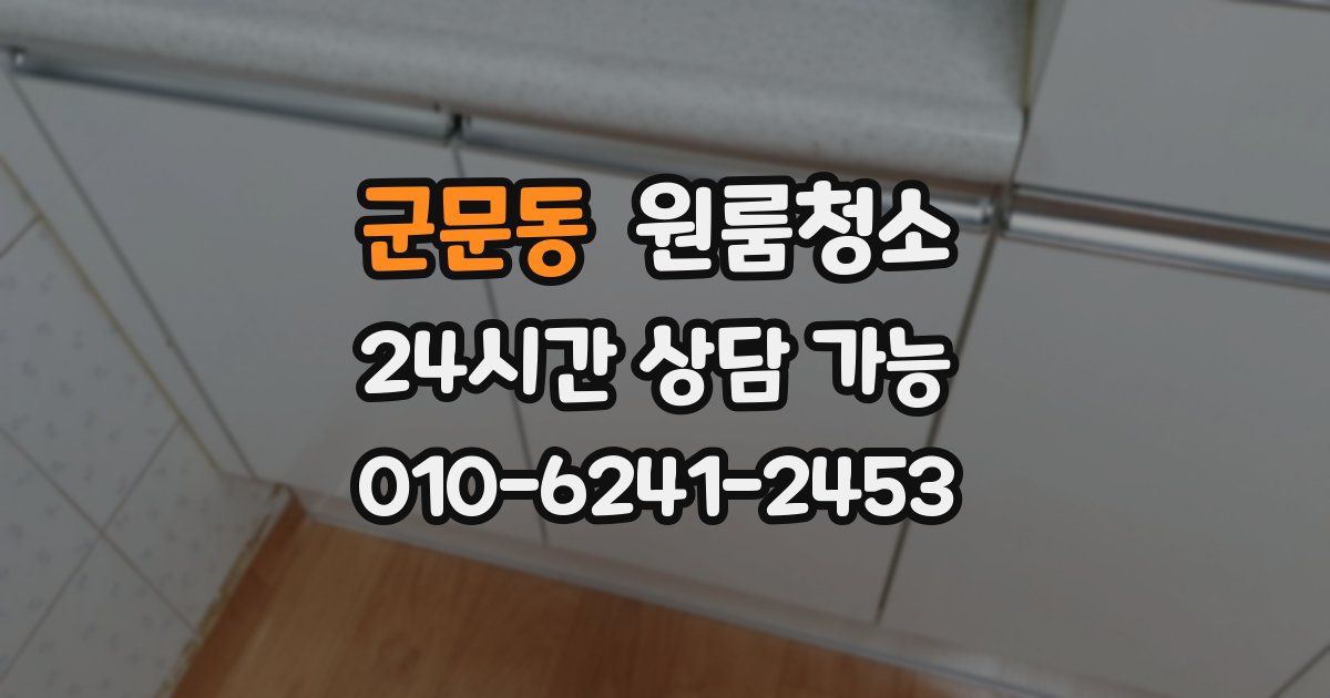 군문동 입주청소