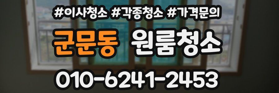 군문동 이사청소